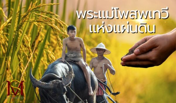 พระแม่โพสพเทวีแห่งแผ่นดิน มันตระสยาม