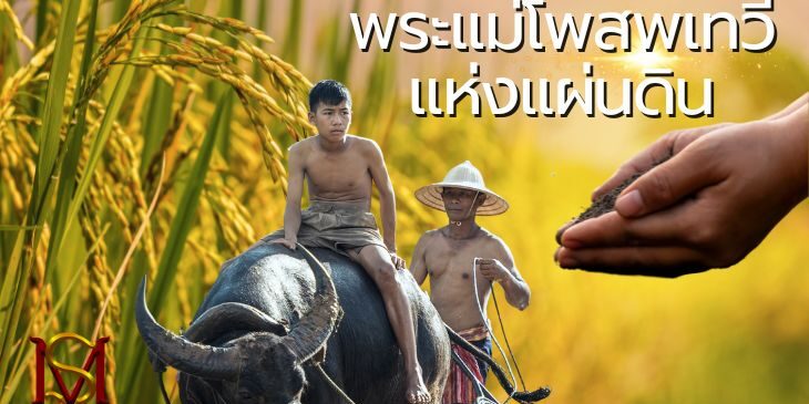 พระแม่โพสพเทวีแห่งแผ่นดิน มันตระสยาม
