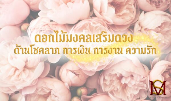 ดอกไม้มงคลเสริมดวง ด้านโชคลาภ การเงิน การงาน ความรัก