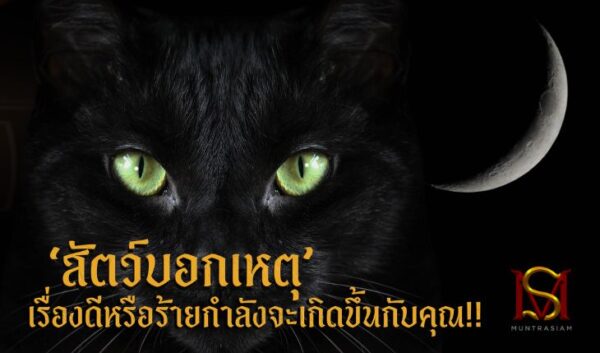 สัตว์บอกเหตุ